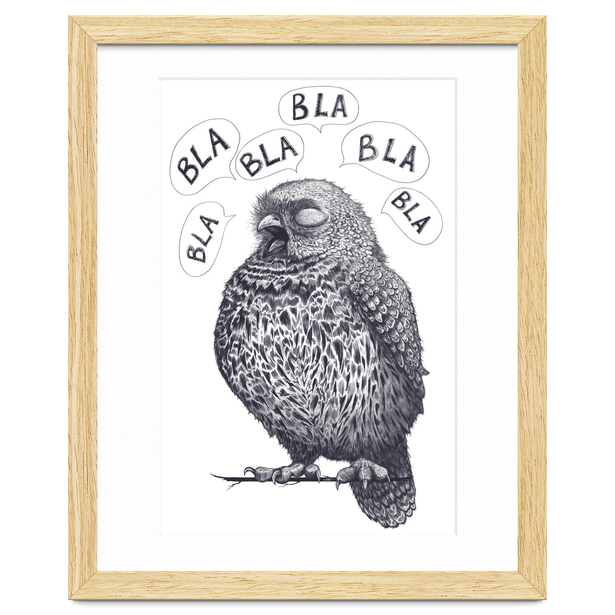 Owl Bla Bla Bla