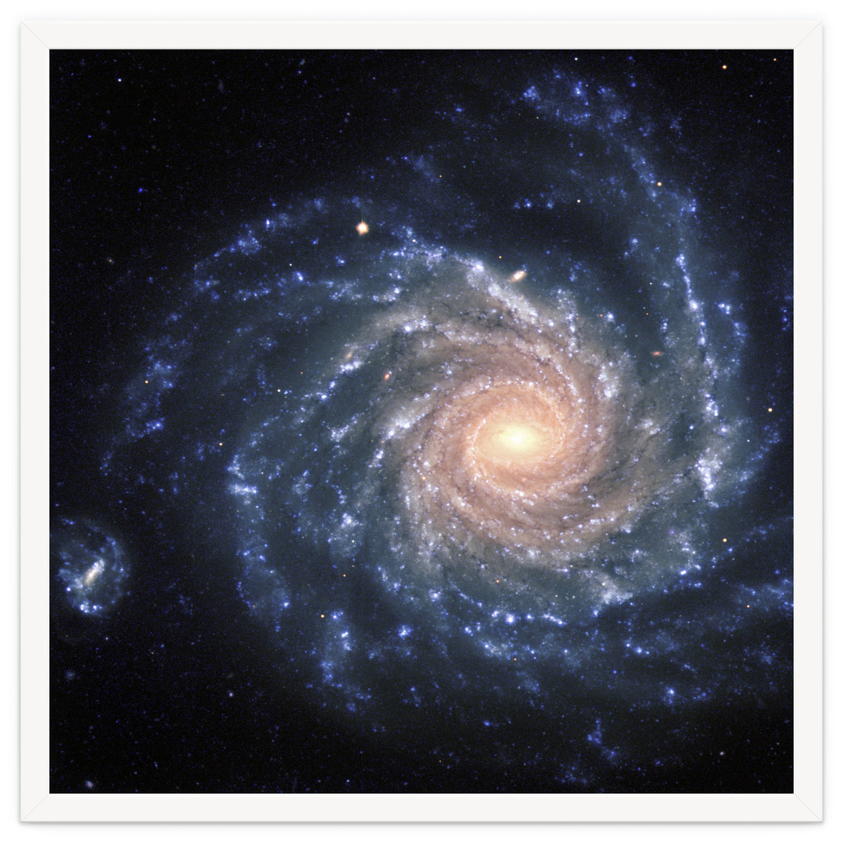 Spiral Galaxy NGC 1232