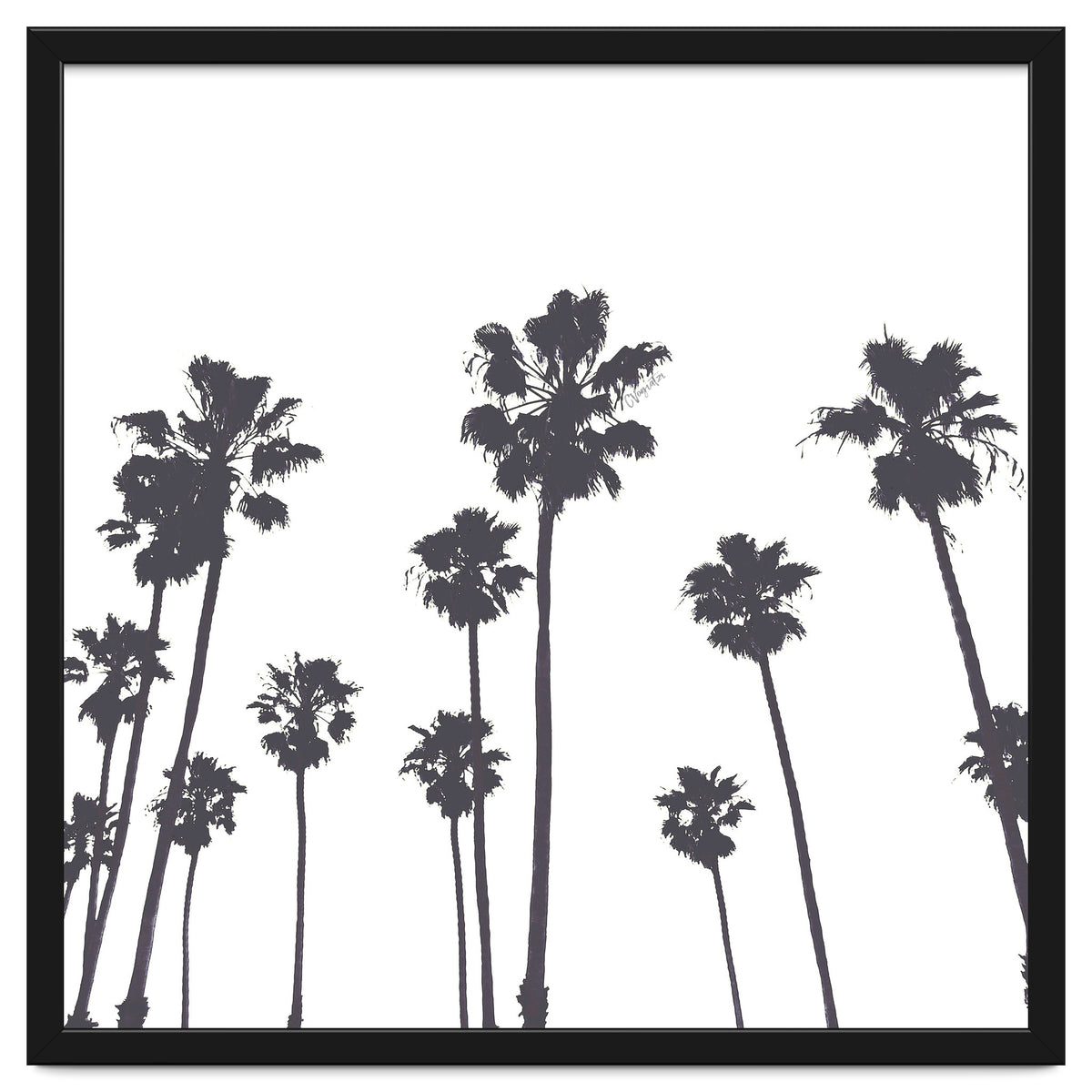 Palms & Sunset-Minimal B&W
