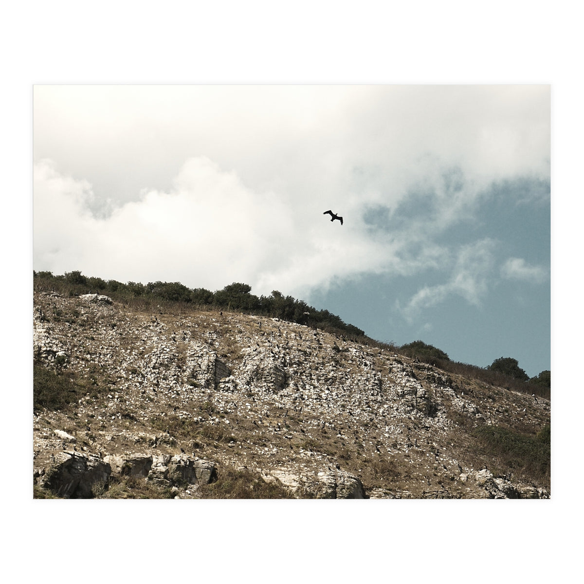 Soar High (Print Only)