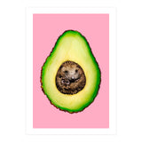 Hedgehocado (Print Only) thumbnail