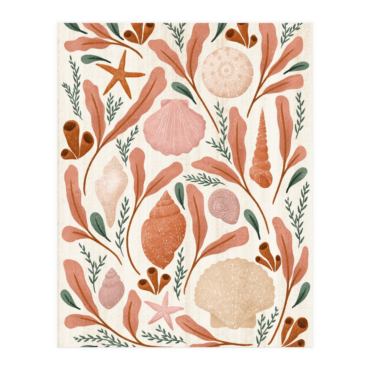 Shells Collection (Print Only)