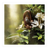 Sound Of Nature (Print Only) thumbnail