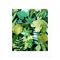 Rainforest Ii (Print Only)