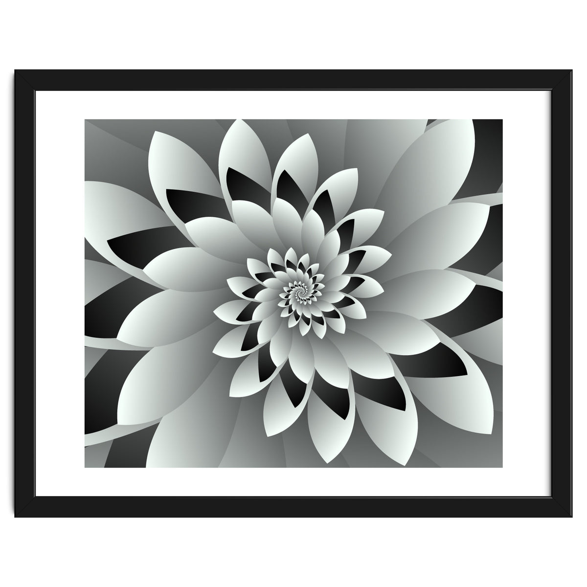 Black & White Floral