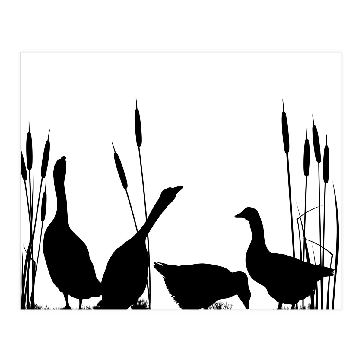 Goose talk too (Print Only)