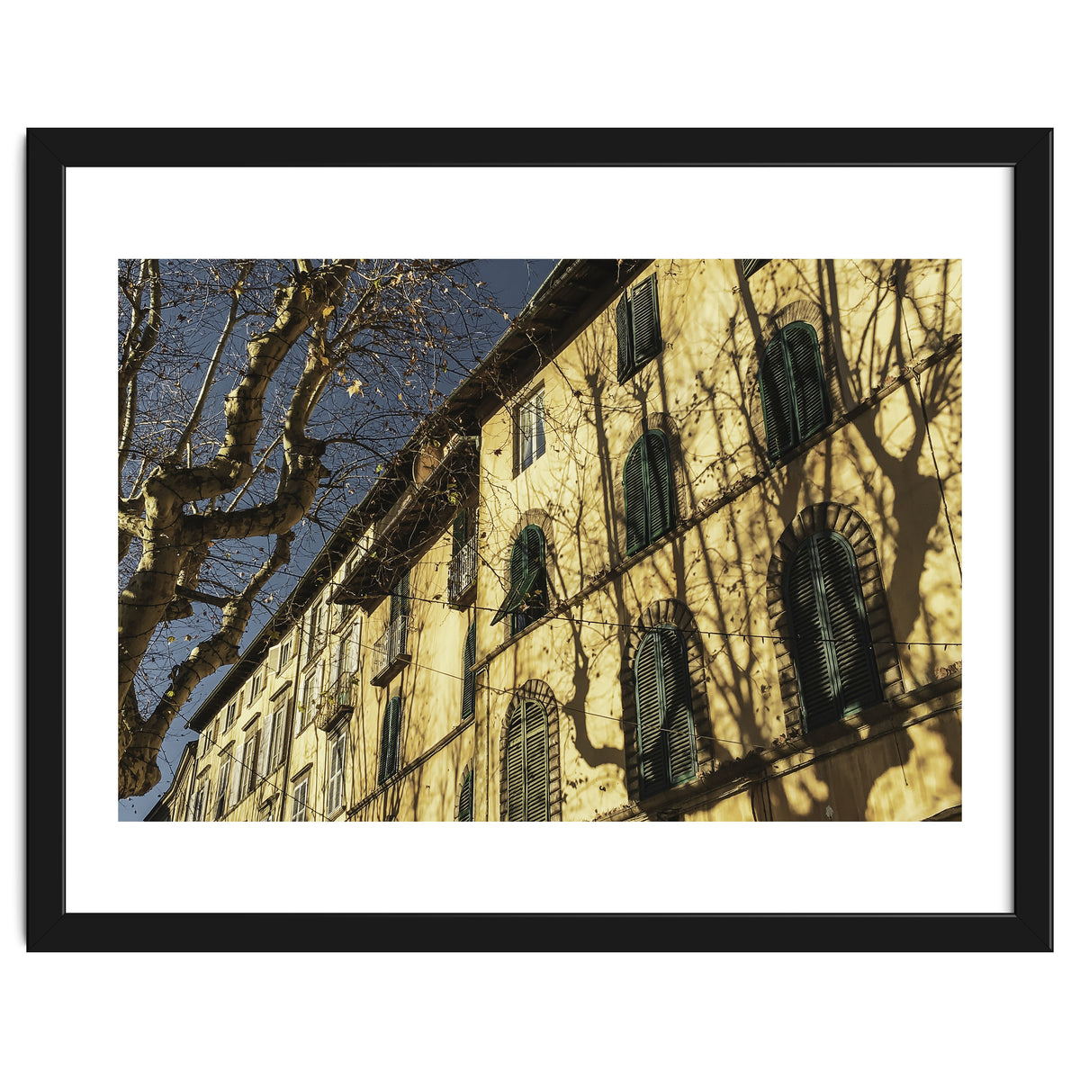 Windows From Tuscany 3