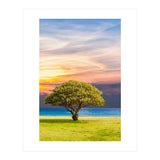 TREE with Great SKY (Print Only) thumbnail