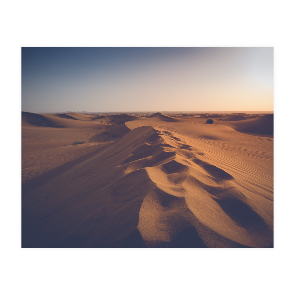 Caramel (Print Only)