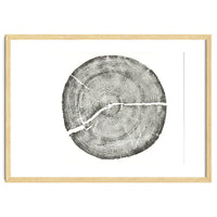 Rock Canyon, Tree Ring Print, Woodblock