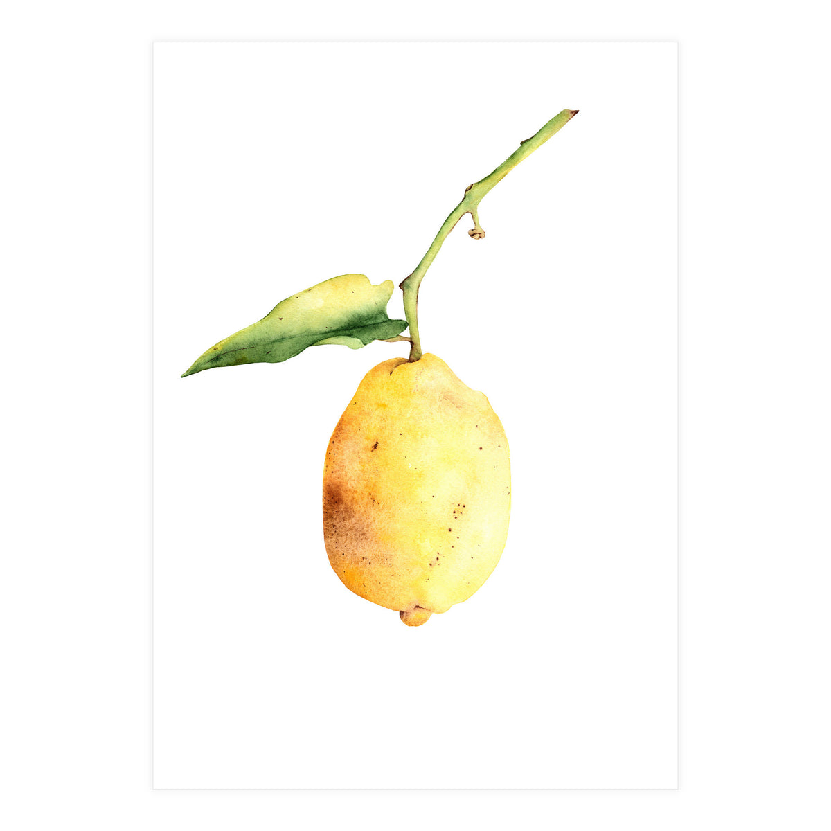 Lemon (Print Only)
