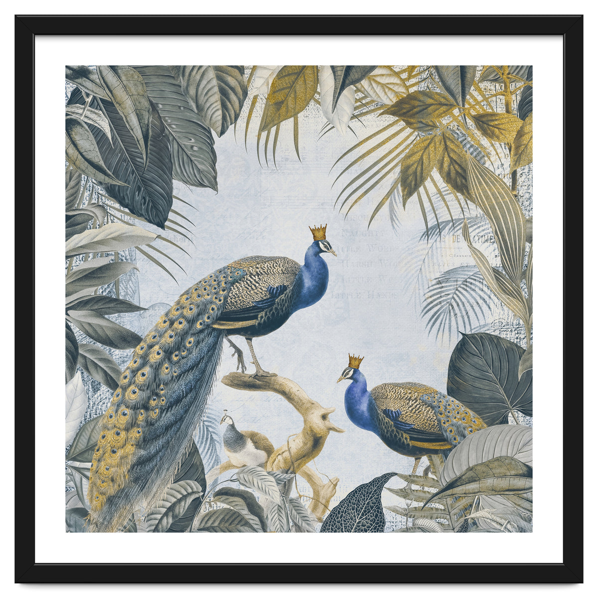 Fantastic Peacock Kings Gold Look