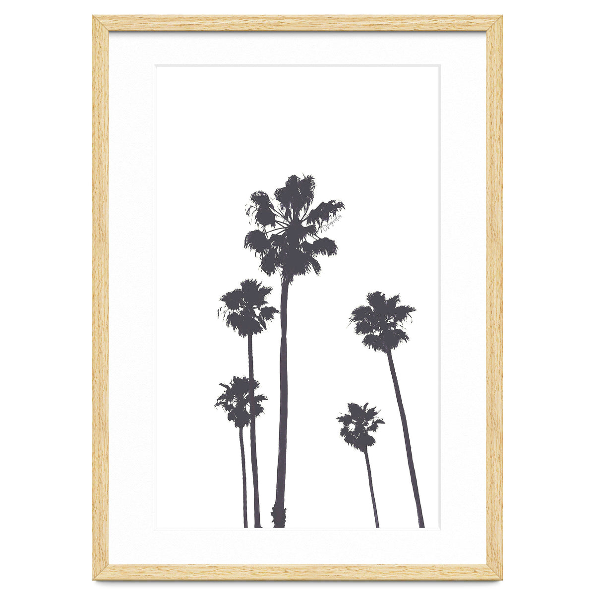 Palms & Sunset-Minimal B&W 2