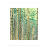 Locked In The Woods (Print Only) thumbnail