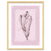 Magnolia Neutral Abstract Botanical