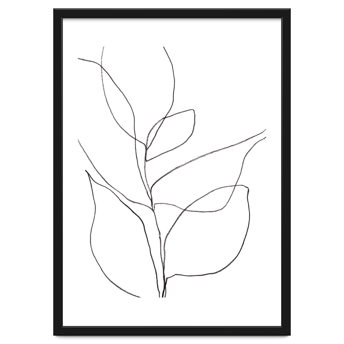 Plant Line Drawing