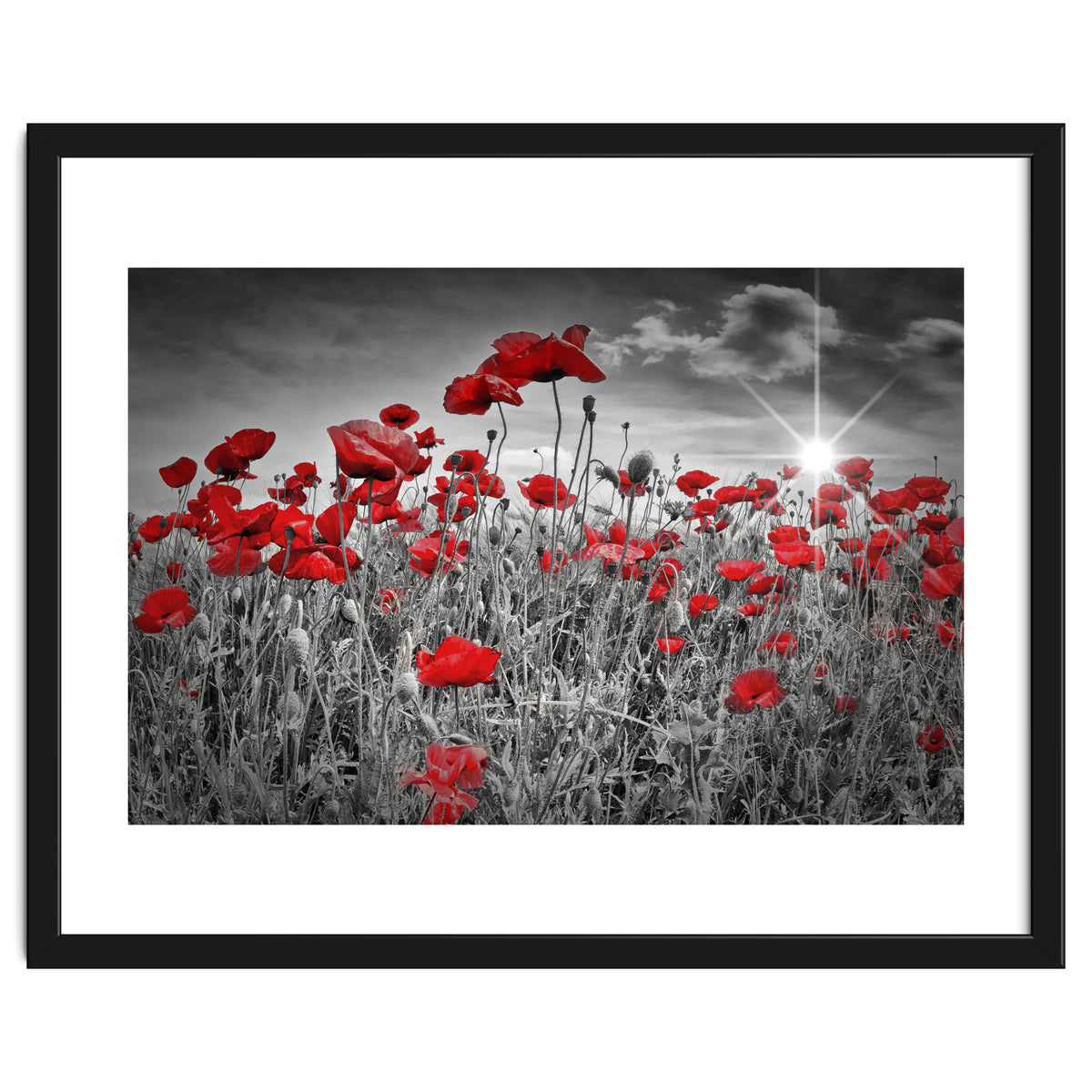 Idyllic Field of Poppies with Sun