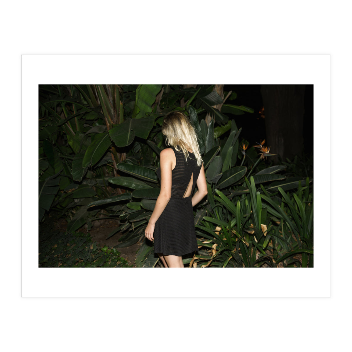 Malaga at Night (Print Only)