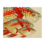 Fish Classic Designs 1 (Print Only) thumbnail