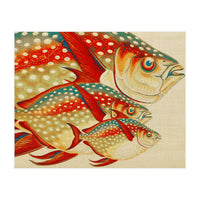 Fish Classic Designs 1 (Print Only)