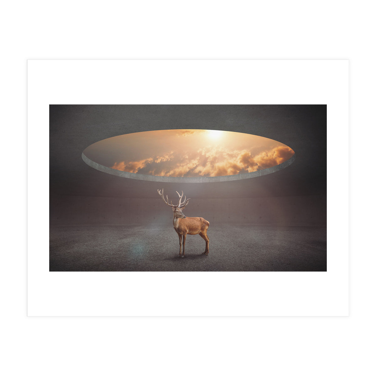 Display Ring (Print Only)