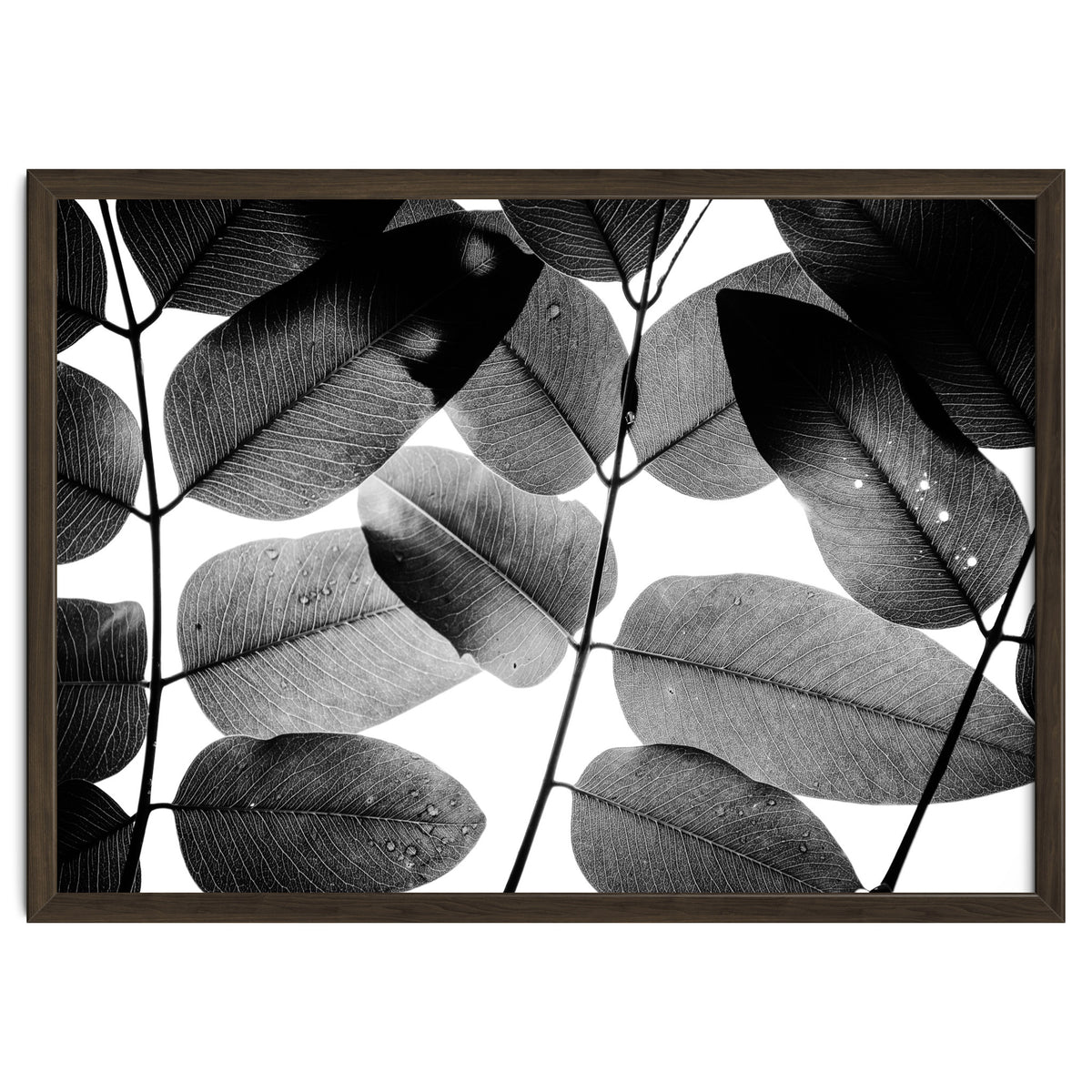 Experiments with Leaves II