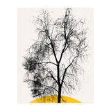 Dark Feather Tree (Print Only) thumbnail