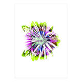 Tropic (Print Only) thumbnail