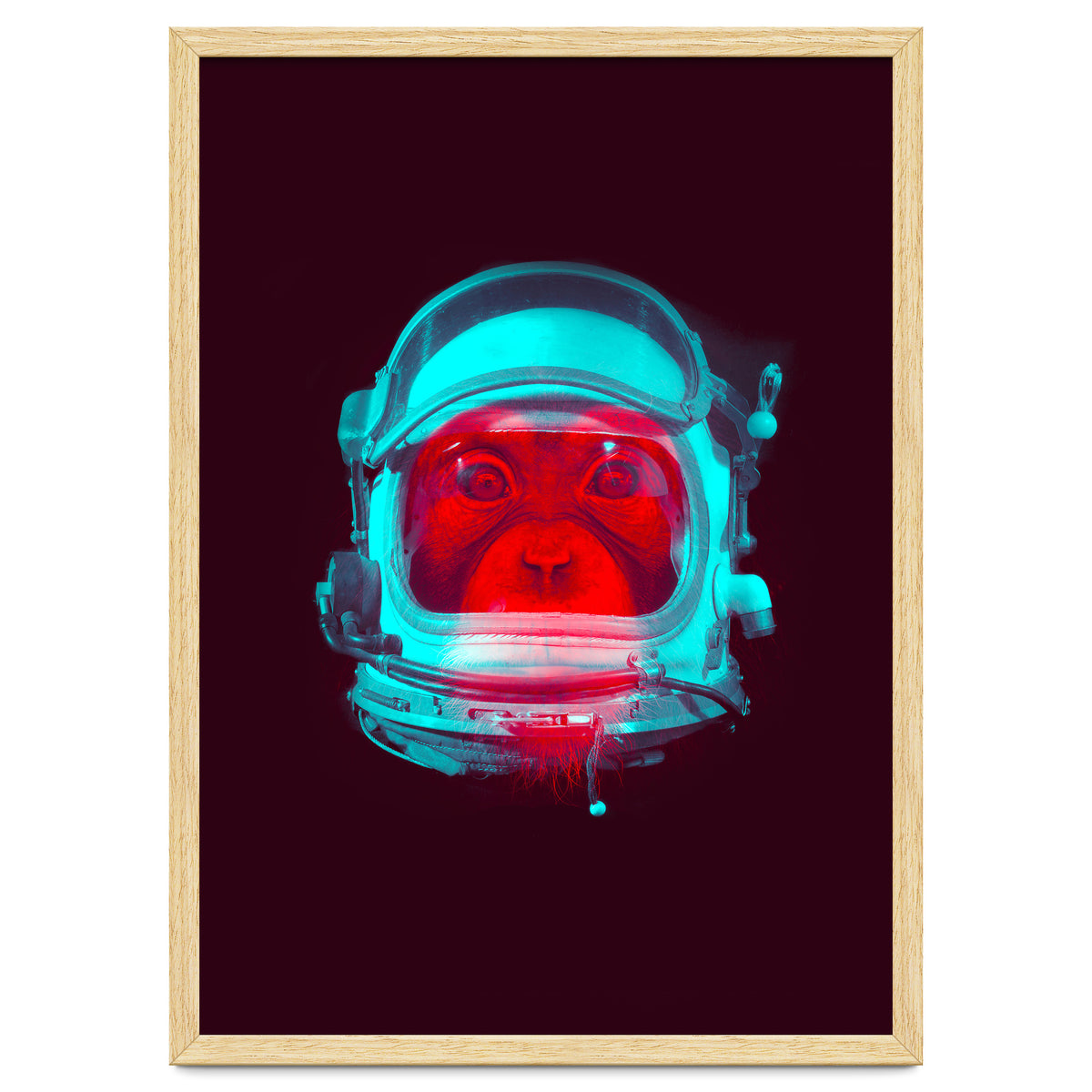 Astronaut
