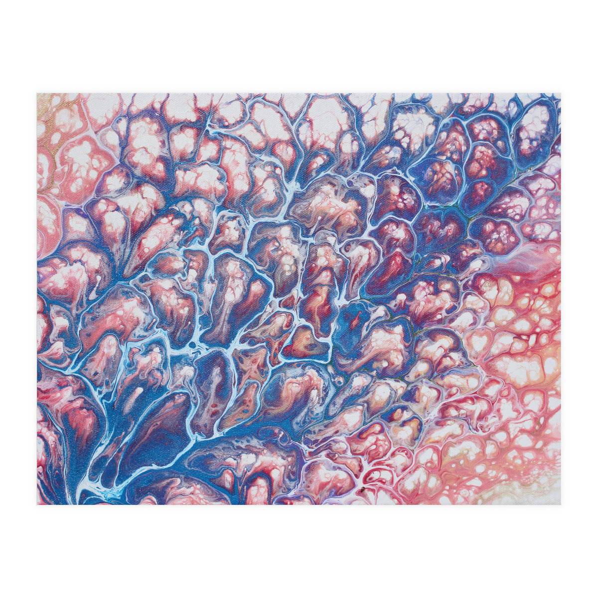 Coral Sea (Print Only)