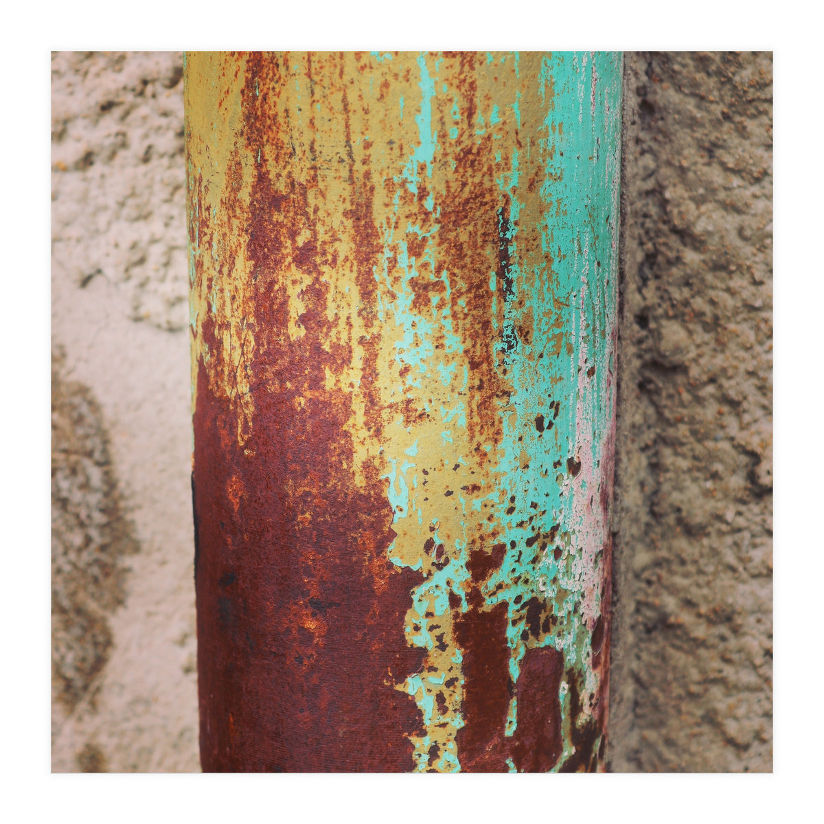 rust and colour (Print Only)