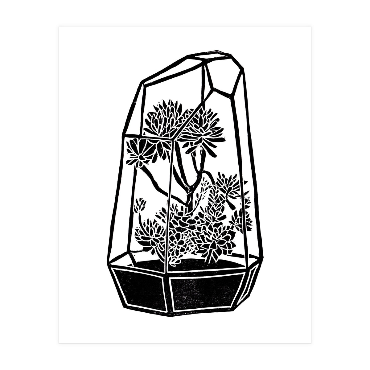 Terrarium  (Print Only)