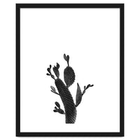 Cactus Black And White 02