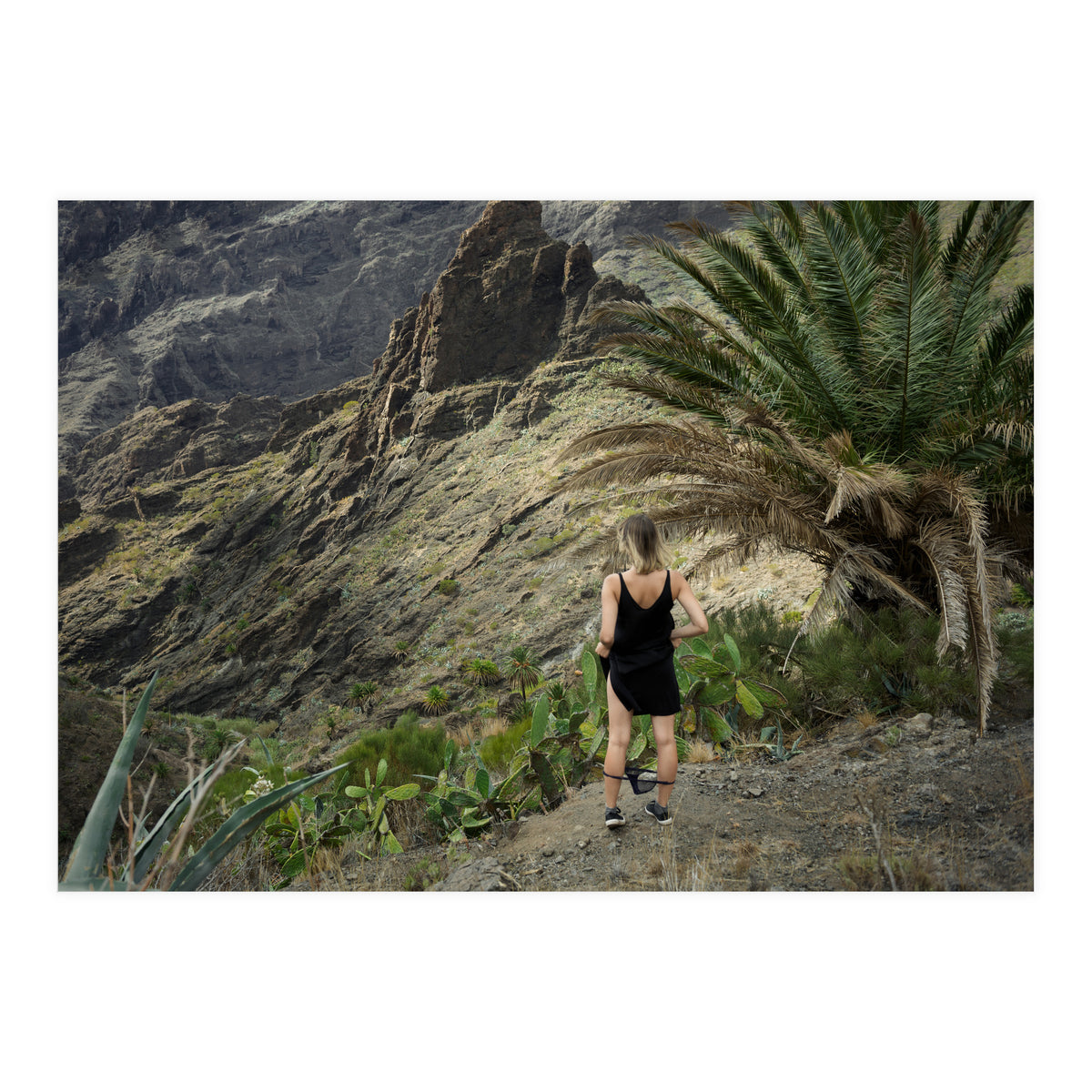 Where the F*** am I? (Print Only)