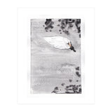 Swan (Print Only) thumbnail