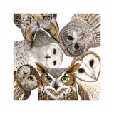 Owls (Print Only) thumbnail