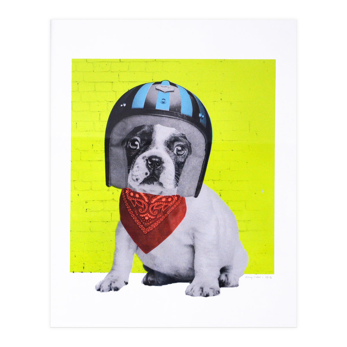 Easy Rider Dog (Print Only)