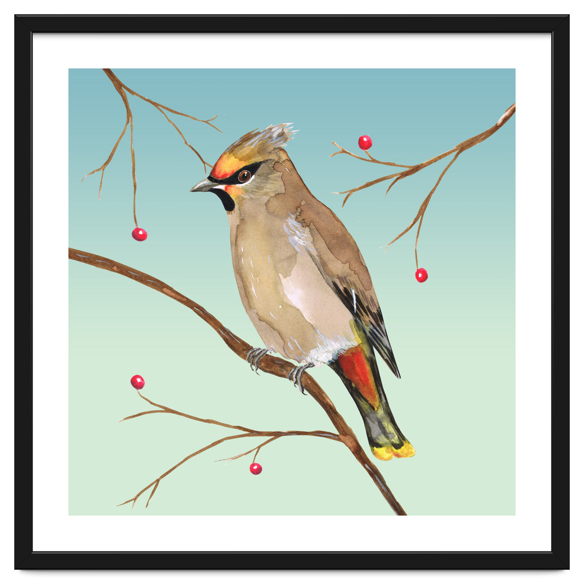 Bohemian waxwing