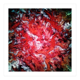 Red Navigation Light (Print Only) thumbnail
