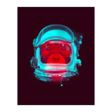 Astronaut (Print Only) thumbnail