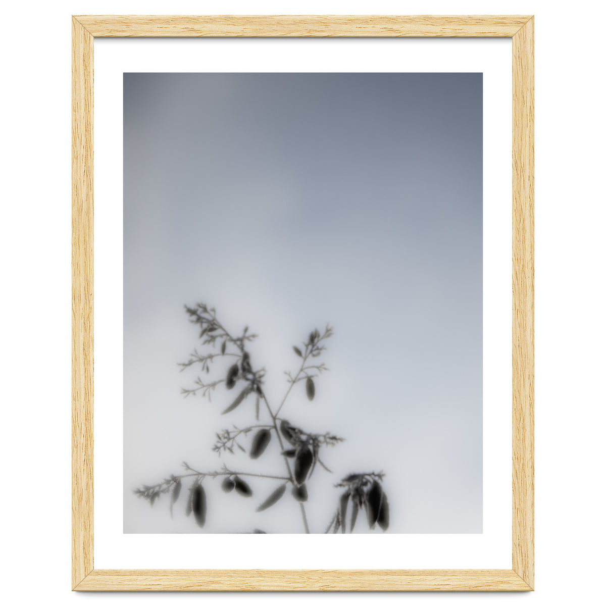 Forgotten Memories of Summer #17