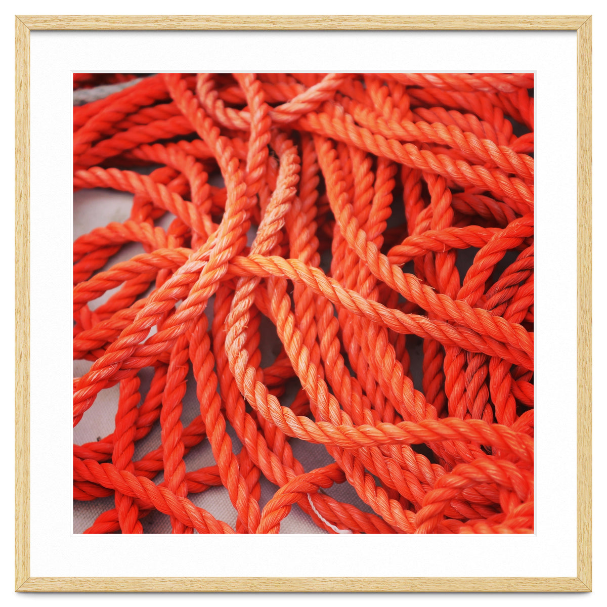 Orange ropes