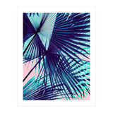 Palm leaf on the beach (Print Only) thumbnail