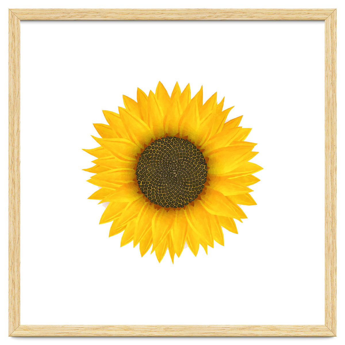 Watercolor Sunflower