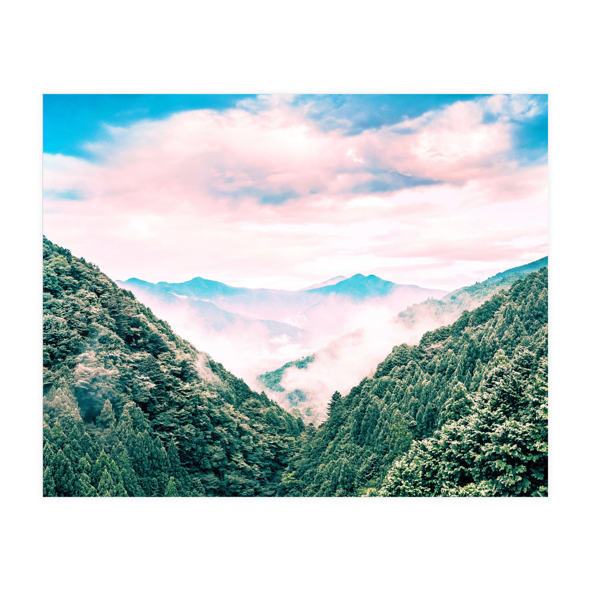 The View Ii (Print Only)