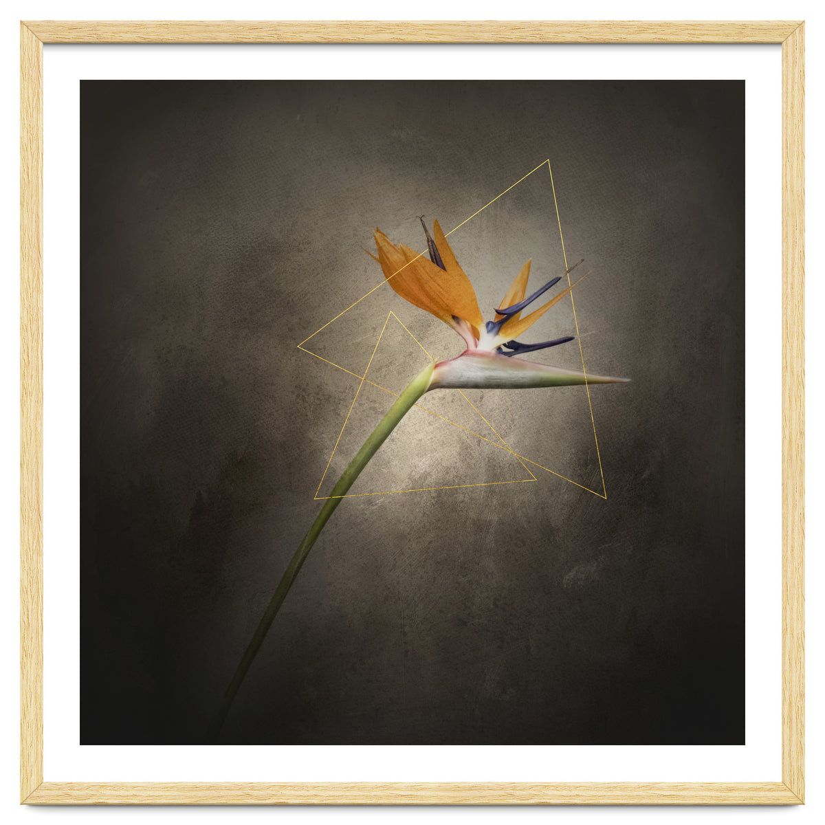 Graceful flower - Strelitzia | vintage style