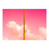 The Pink Half (Print Only) thumbnail