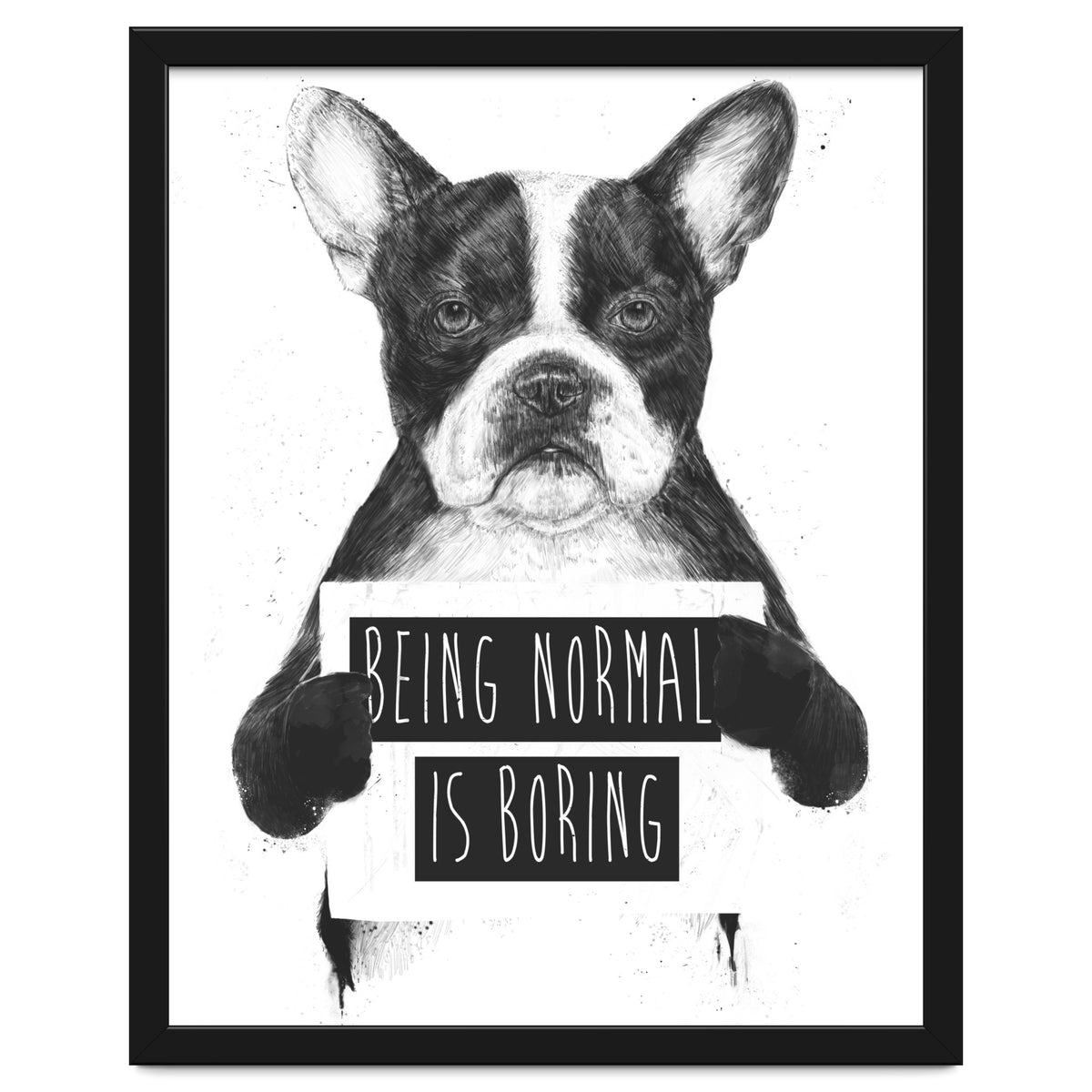 Being Normal Is Boring