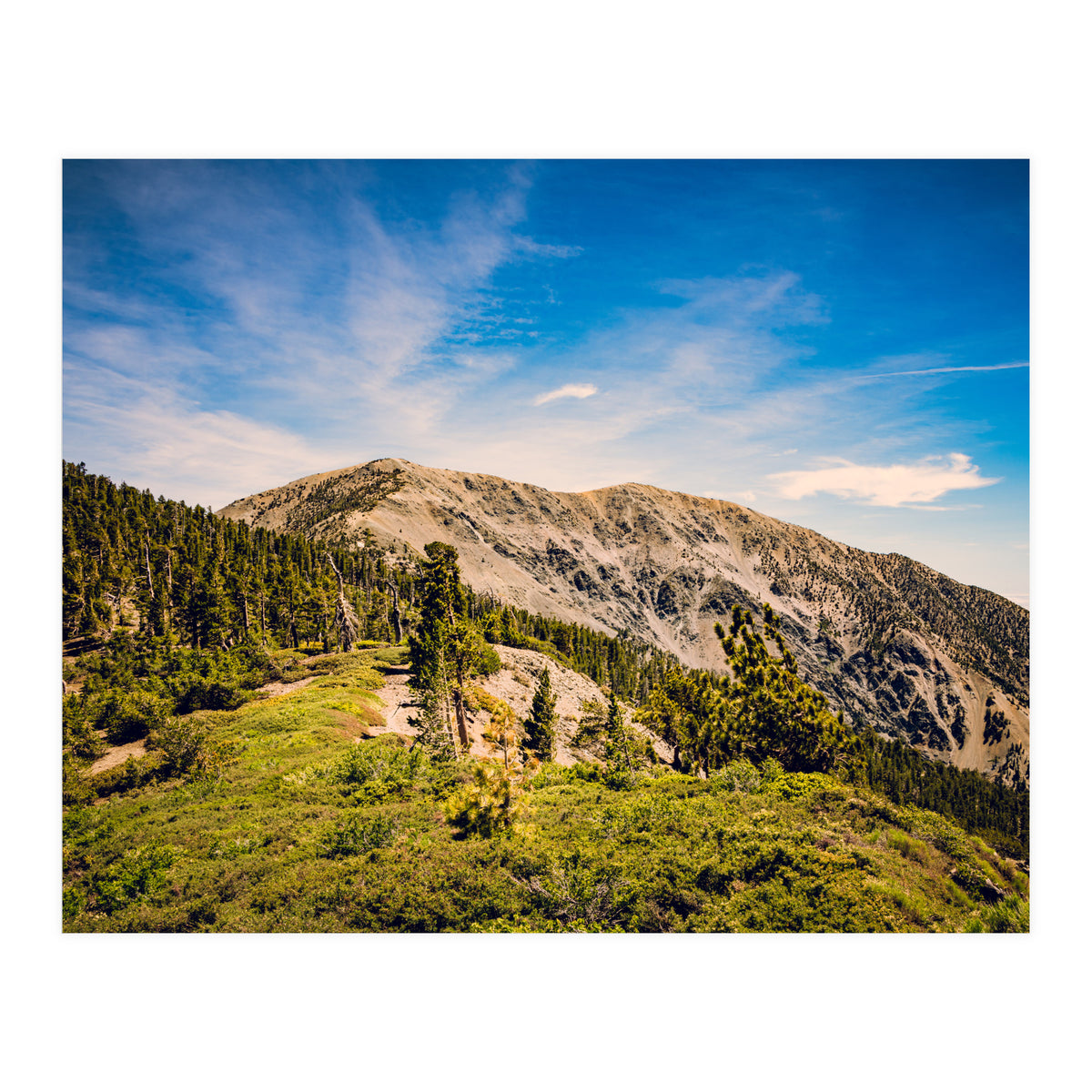 Mt Baldy (Print Only)