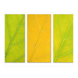 Autumn Leaves (Print Only) thumbnail